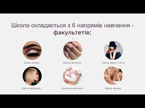 Школа складається з 6 напрямів навчання - факультетів: : Школа