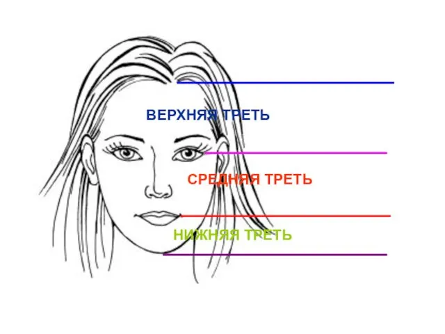 ВЕРХНЯЯ ТРЕТЬ СРЕДНЯЯ ТРЕТЬ НИЖНЯЯ ТРЕТЬ