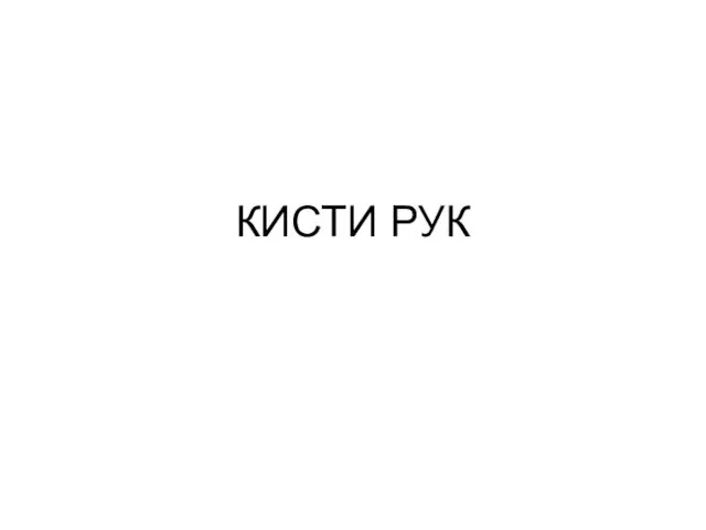 КИСТИ РУК