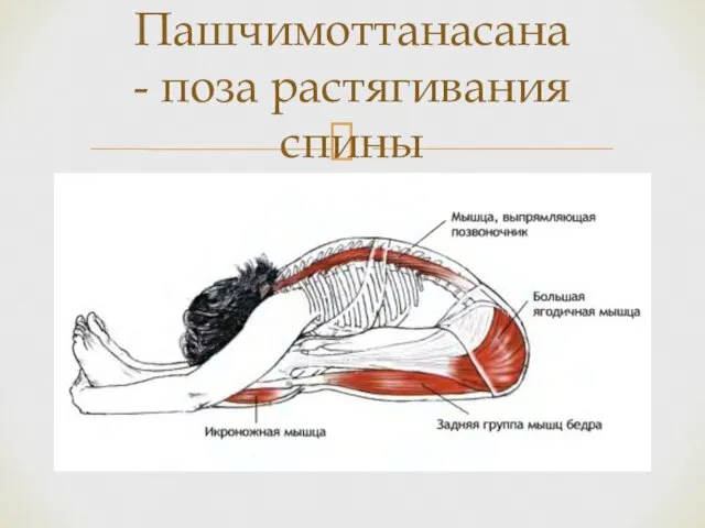 Пашчимоттанасана - поза растягивания спины