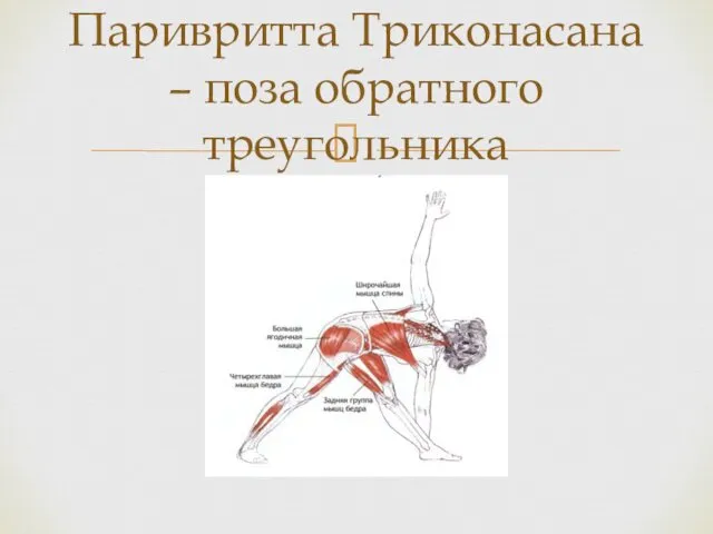 Паривритта Триконасана – поза обратного треугольника