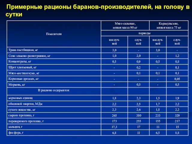 Примерные рационы баранов-производителей, на голову в сутки