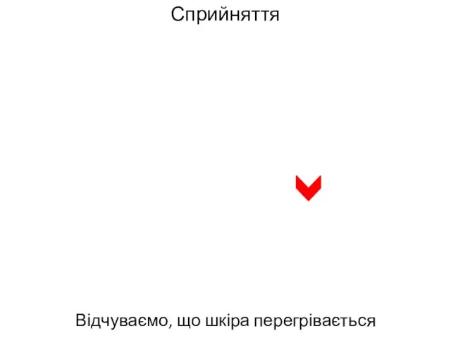 Сприйняття Відчуваємо, що шкіра перегрівається