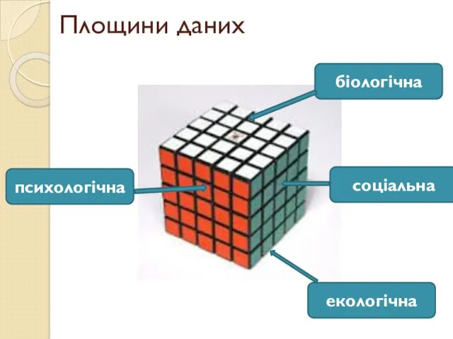 Площини даних біологічна психологічна екологічна соціальна