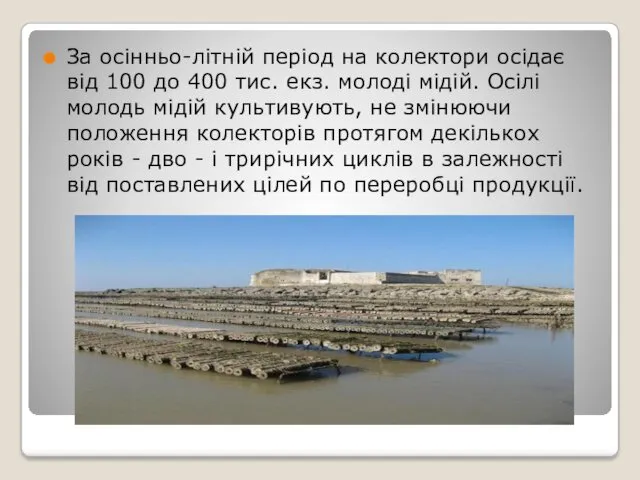 За осінньо-літній період на колектори осідає від 100 до 400