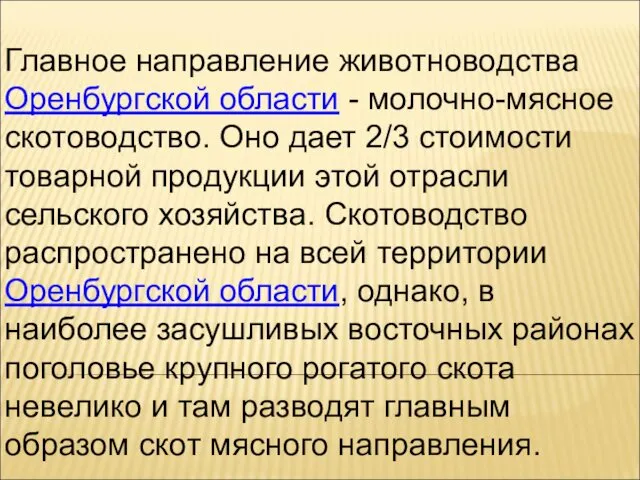 Главное направление животноводства Оренбургской области - молочно-мясное скотоводство. Оно дает