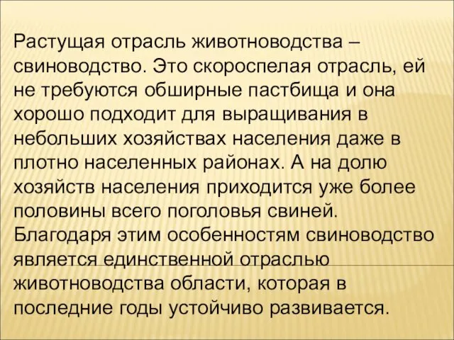 Растущая отрасль животноводства – свиноводство. Это скороспелая отрасль, ей не