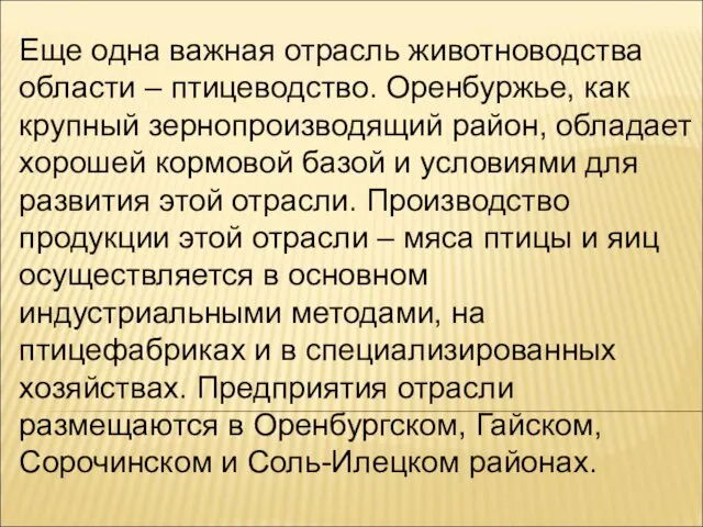 Еще одна важная отрасль животноводства области – птицеводство. Оренбуржье, как