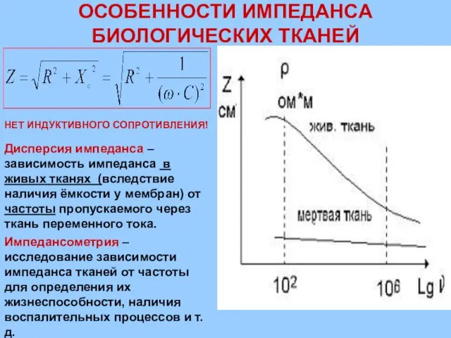 ОСОБЕННОСТИ ИМПЕДАНСА БИОЛОГИЧЕСКИХ ТКАНЕЙ НЕТ ИНДУКТИВНОГО СОПРОТИВЛЕНИЯ! Дисперсия импеданса –