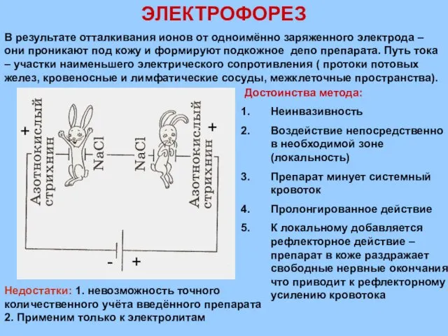 ЭЛЕКТРОФОРЕЗ - + + + В результате отталкивания ионов от