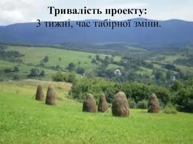 Тривалість проекту: 3 тижні, час табірної зміни.