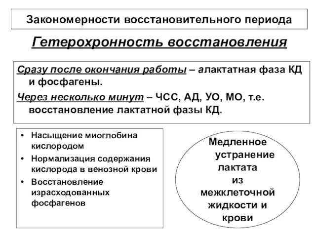 Гетерохронность восстановления Насыщение миоглобина кислородом Нормализация содержания кислорода в венозной