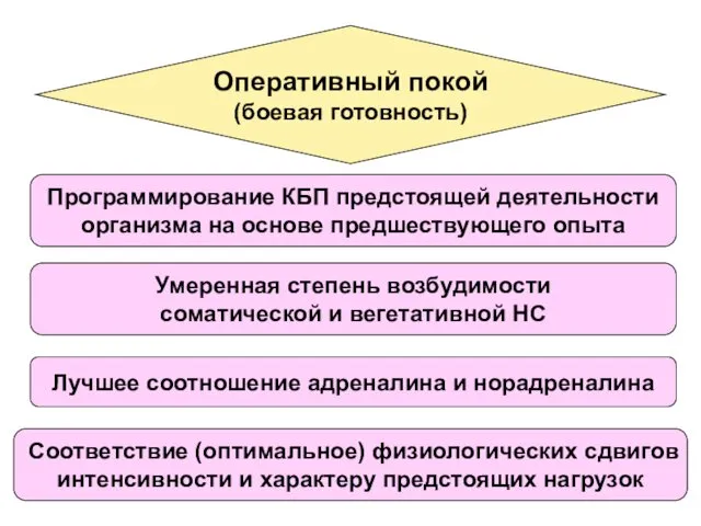 Оперативный покой (боевая готовность) Программирование КБП предстоящей деятельности организма на