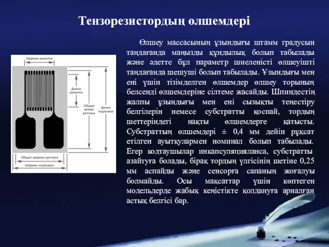 Өлшеу массасының ұзындығы штамм градусын таңдағанда маңызды құндылық болып табылады