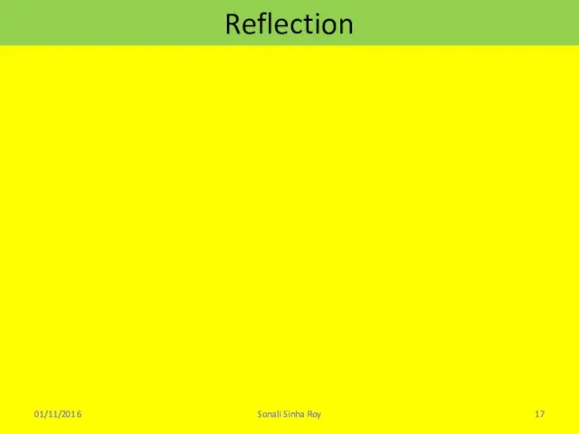 Reflection 01/11/2016 Sonali Sinha Roy