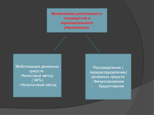 Финансовая деятельность государства и муниципального образования. Мобилизация денежных средств :