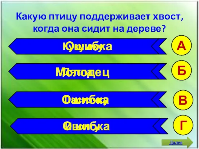 Какую птицу поддерживает хвост, когда она сидит на дереве? А