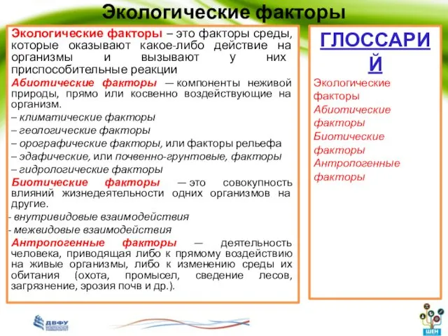 Экологические факторы Экологические факторы – это факторы среды, которые оказывают