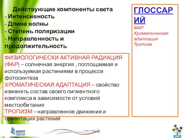 Действующие компоненты света - Интенсивность - Длина волны - Степень