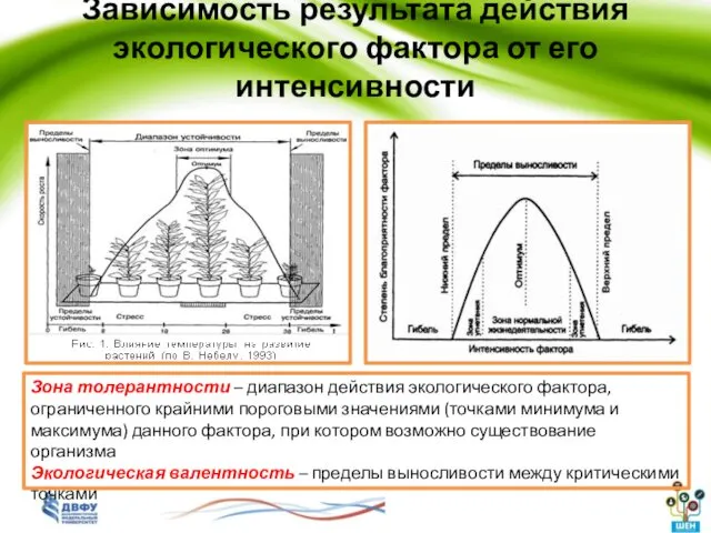 Зависимость результата действия экологического фактора от его интенсивности Зона толерантности