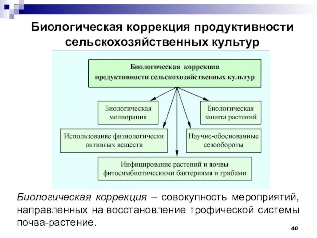 Биологическая коррекция продуктивности сельскохозяйственных культур Биологическая коррекция – совокупность мероприятий, направленных на восстановление трофической системы почва-растение.