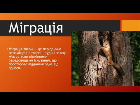 Міграція Міграція тварин – це періодичне переміщення тварин «туди і