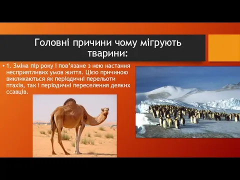 Головні причини чому мігрують тварини: 1. Зміна пір року і