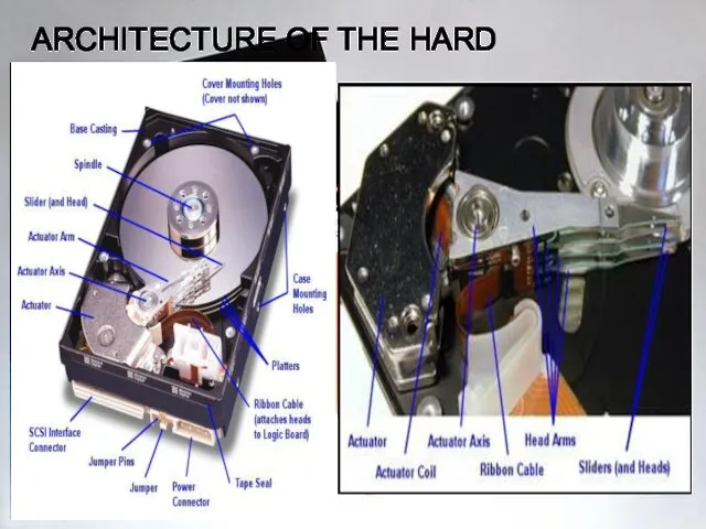 ARCHITECTURE OF THE HARD DISK