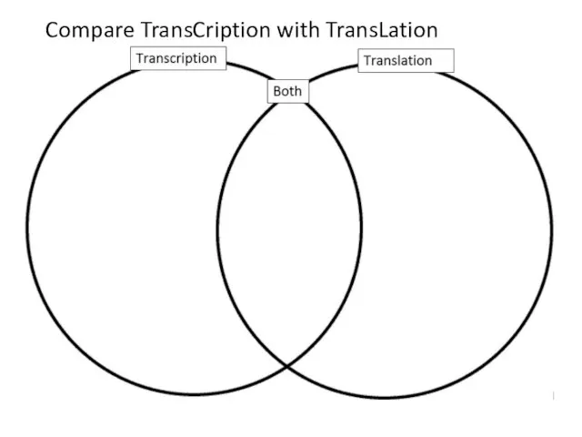 Compare TransCription with TransLation