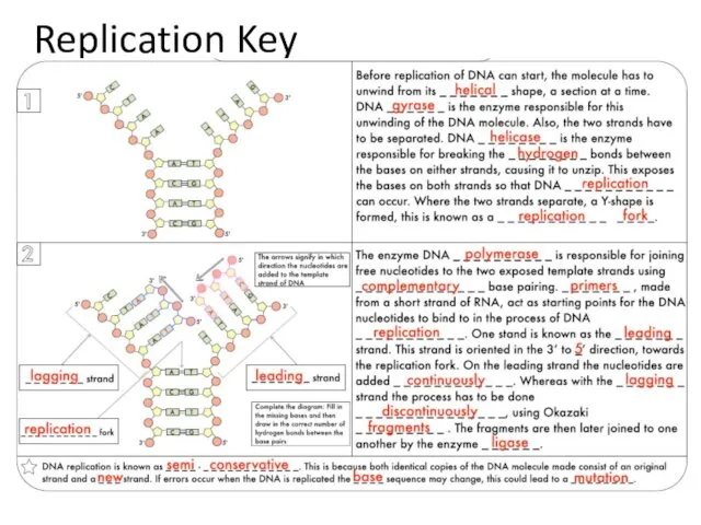 Replication Key