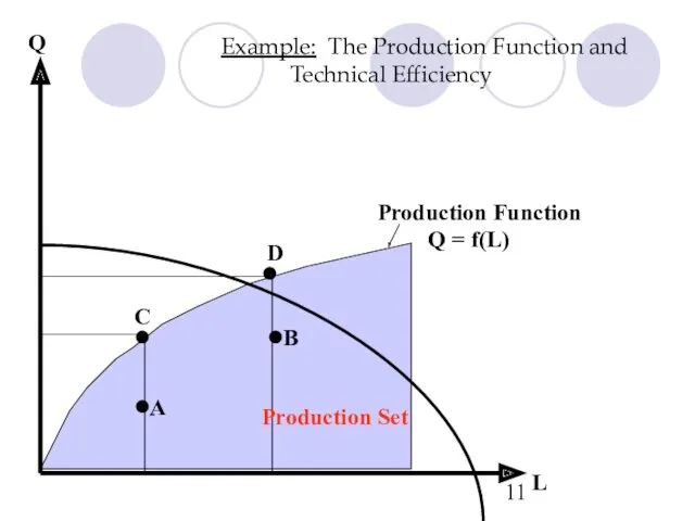 Example: The Production Function and Technical Efficiency Q = f(L)