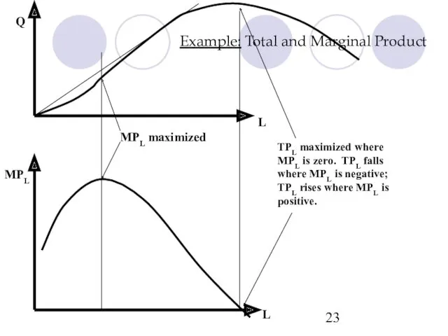 Example: Total and Marginal Product L MPL Q L MPL