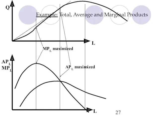 Example: Total, Average and Marginal Products L APL MPL Q L MPL maximized APL maximized