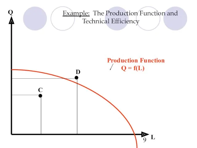 Example: The Production Function and Technical Efficiency Q = f(L)