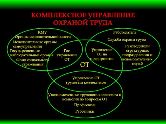 КОМПЛЕКСНОЕ УПРАВЛЕНИЕ ОХРАНОЙ ТРУДА КМУ Органы исполнительной власти Исполнительные органы