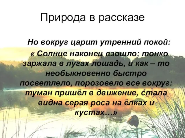 Природа в рассказе Но вокруг царит утренний покой: « Солнце