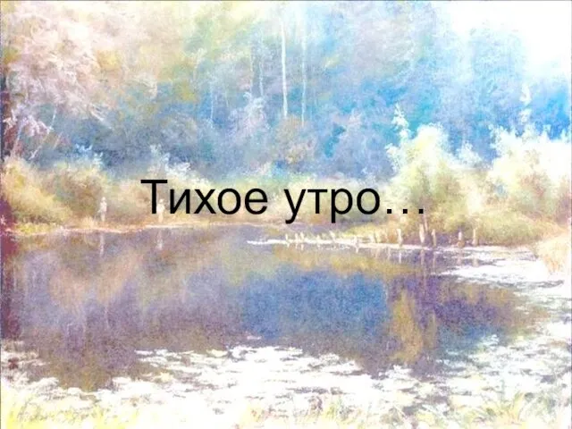 Тихое утро…