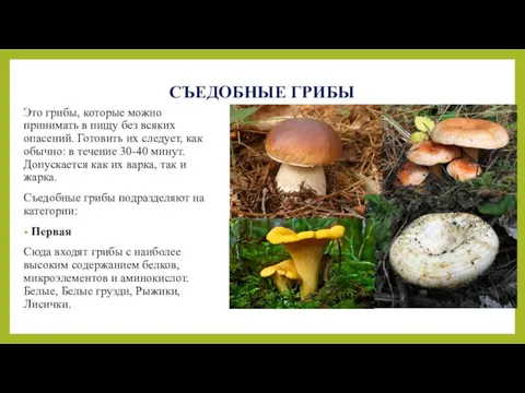 СЪЕДОБНЫЕ ГРИБЫ Это грибы, которые можно принимать в пищу без