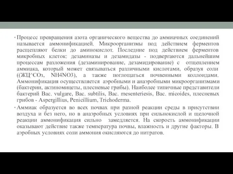 Процесс превращения азота органического вещества до аммиачных соединений называется аммонификацией.