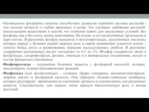 Оптимальное фосфорное питание способствует развитию корневой системы растений - она