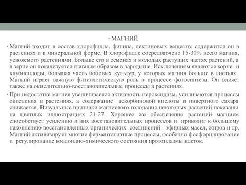 МАГНИЙ Магний входит в состав хлорофилла, фитина, пектиновых веществ; содержится