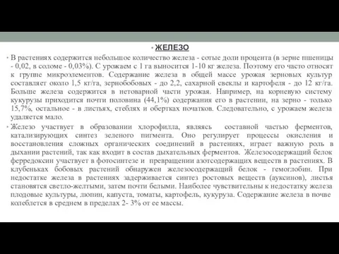 ЖЕЛЕЗО В растениях содержится небольшое количество железа - сотые доли