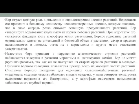 Бор играет важную роль в опылении и оплодотворении цветков растений.