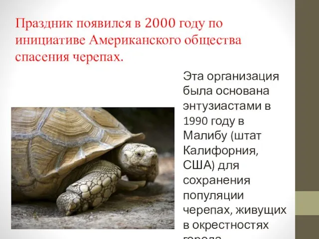 Праздник появился в 2000 году по инициативе Американского общества спасения черепах. Эта организация