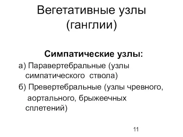 Вегетативные узлы (ганглии) Симпатические узлы: а) Паравертебральные (узлы симпатического ствола)