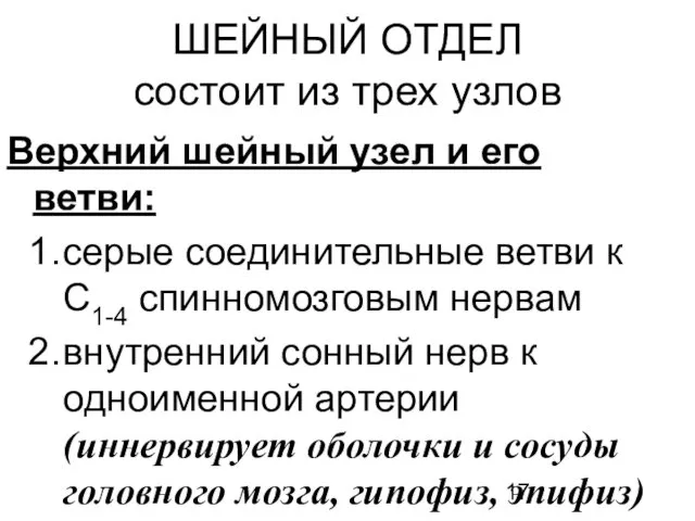 ШЕЙНЫЙ ОТДЕЛ состоит из трех узлов Верхний шейный узел и