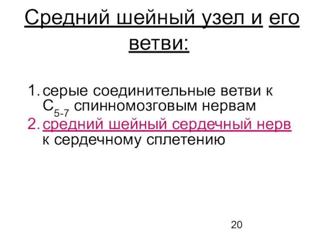 серые соединительные ветви к С5-7 спинномозговым нервам средний шейный сердечный