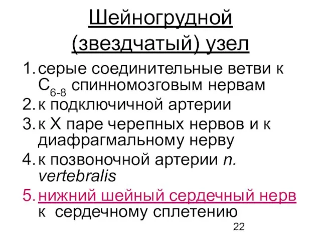 Шейногрудной (звездчатый) узел серые соединительные ветви к С6-8 спинномозговым нервам