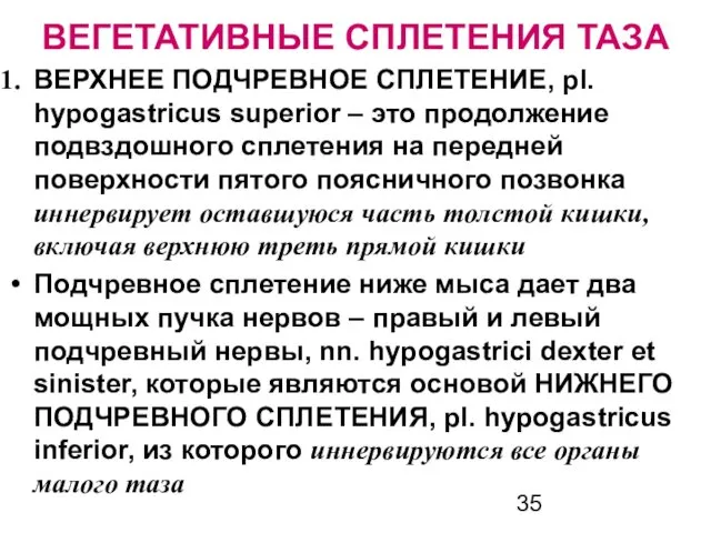 ВЕРХНЕЕ ПОДЧРЕВНОЕ СПЛЕТЕНИЕ, pl. hypogastricus superior – это продолжение подвздошного