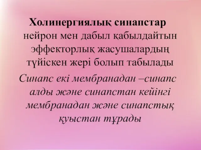 Холинергиялық синапстар нейрон мен дабыл қабылдайтын эффекторлық жасушалардың түйіскен жері